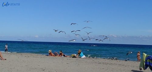 Luxury Condo with Tranquil Water View-CS13 30 Manlio Viajes  |  Agencia de Turismo