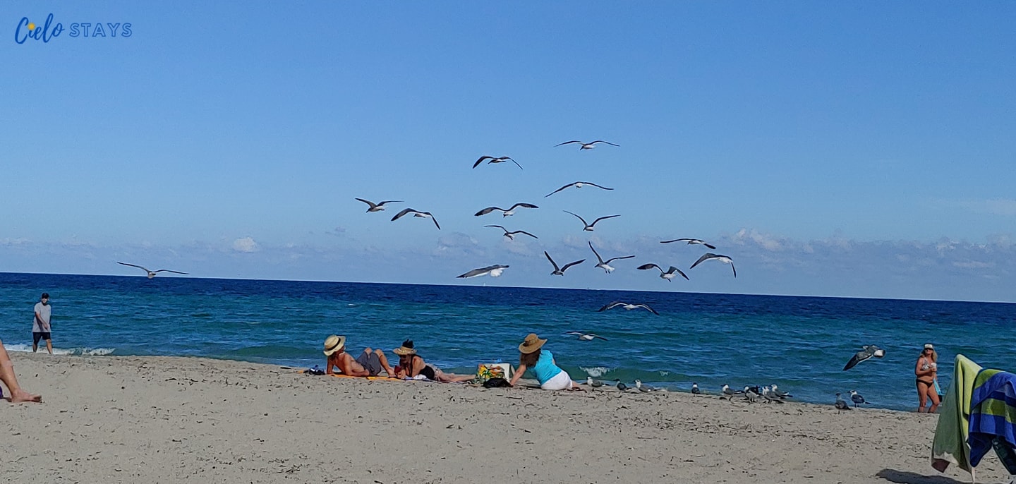 Apartamento de lujo en la playa con vista parcial al mar -CS15 29 Cielo Stays