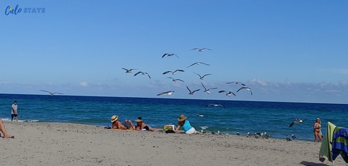 Luxury Beach Resort Studio, Rooftop Pool 12 Tamesys Departamentos