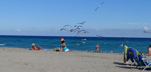 Modern Partial Ocean View Retreat 34 Tamesys Departamentos