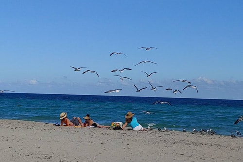 CH Luxury Large Condo & Partial Ocean View-CS2 69 Manlio Viajes  |  Agencia de Turismo