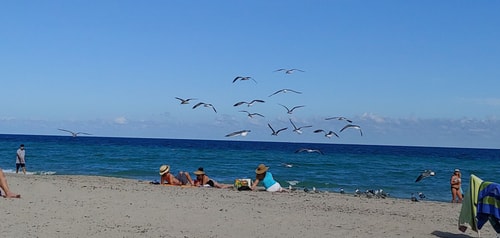 Luxury Beach-side Studio W/ Rooftop Pool-CS28 59 Manlio Viajes  |  Agencia de Turismo