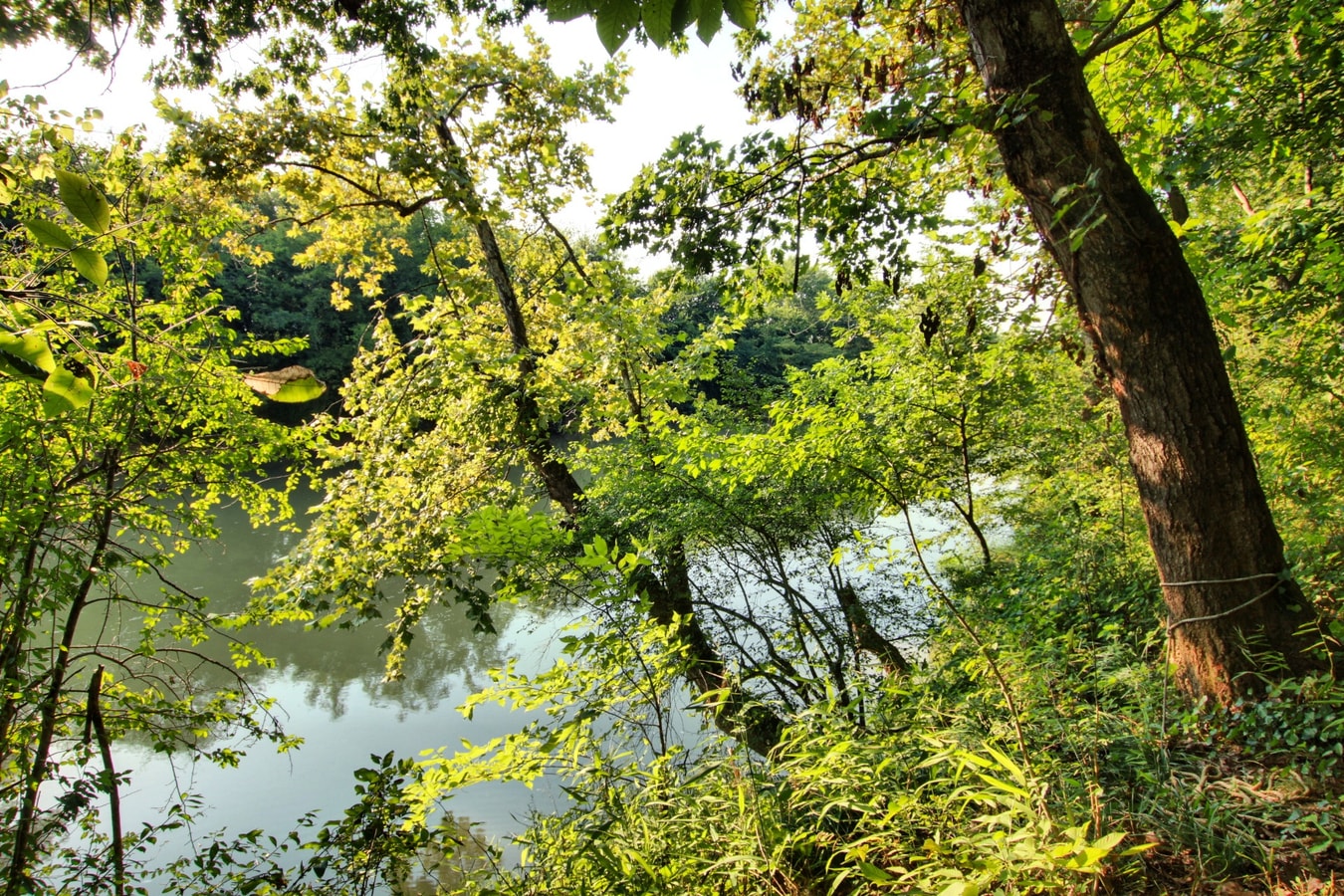 Elite River Castle on the Conasauga 43 Cielo Stays