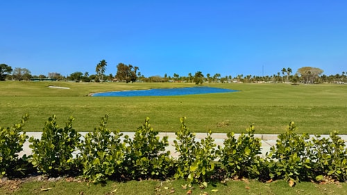 Downtown HWD Golf Retreat | Backyard + Near Beach 47 Cielo Stays