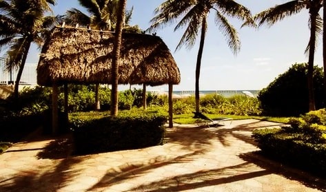 Apt w/2 Queen Beds & Ocean View at Tides 25 Komffy