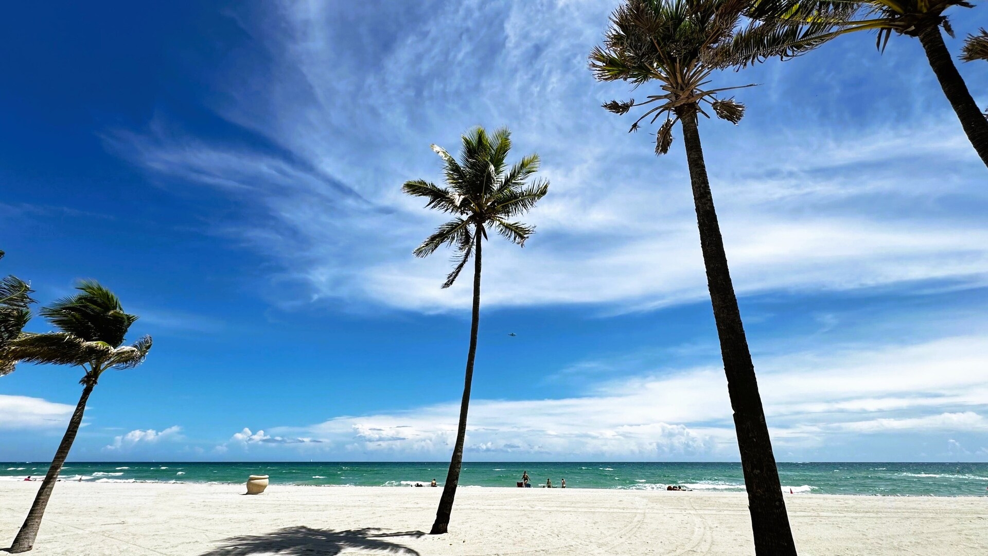 Modern Queen Studio +  Kitchen | Wi-Fi 9 Hollywood Sunrise Hotel