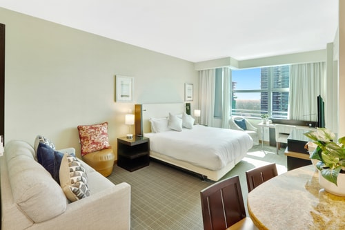 Trendy Studio Suite in Miami