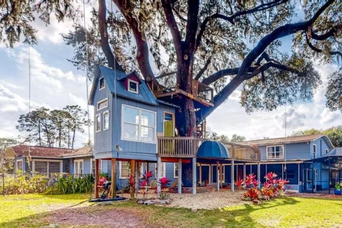 with Pool, Spa & Treehouse