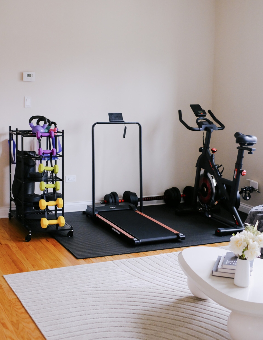 Stylish Living Area And Indoor Gym - Chic Urban Escape - Chicago, IL