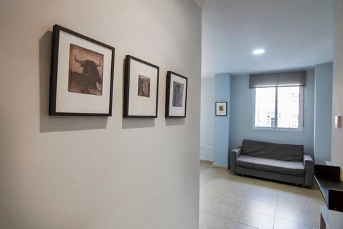 Wonderful and bright flat in Ciutat Vella 20 VLC Host