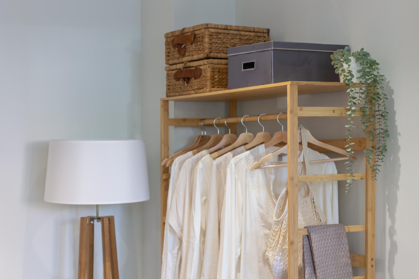 VLC HOST - Reino 1 14 VLC Host