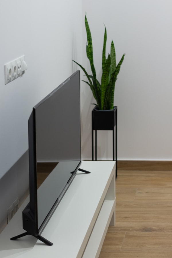 VLC HOST - Fray Pedro B 17 VLC Host
