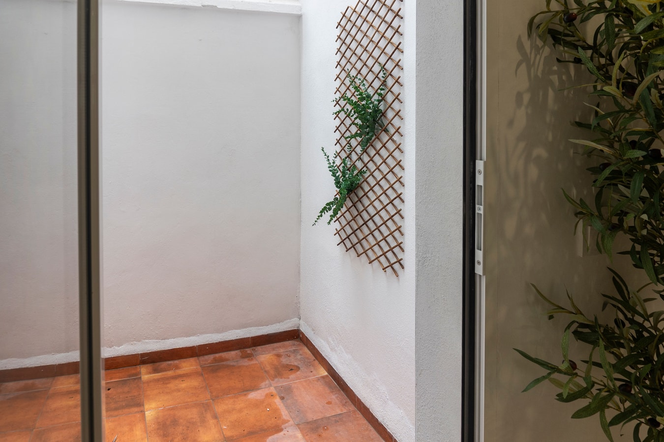 VLC HOST - Alfaro A 15 VLC Host