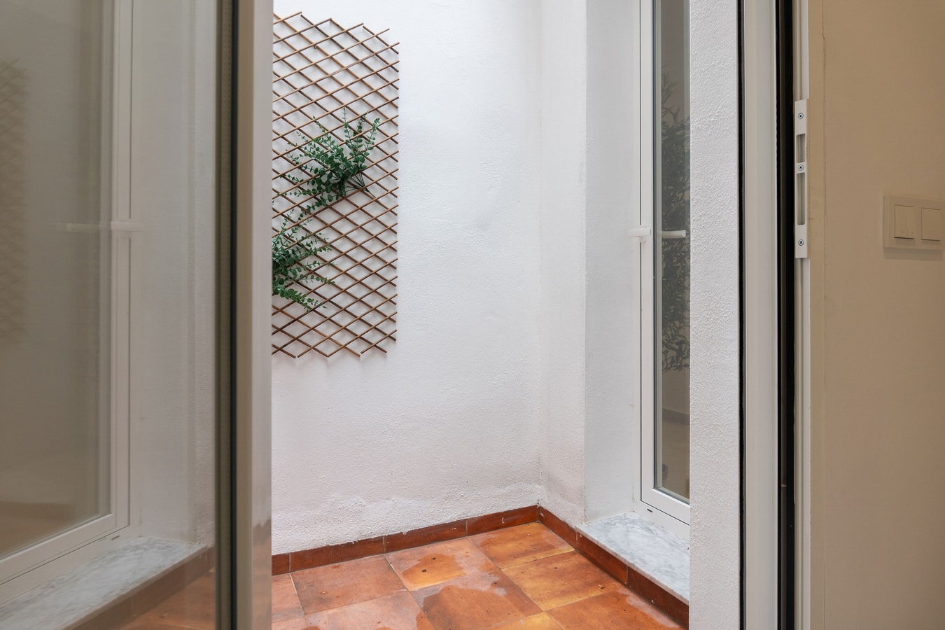 VLC HOST - Alfaro A 8 VLC Host