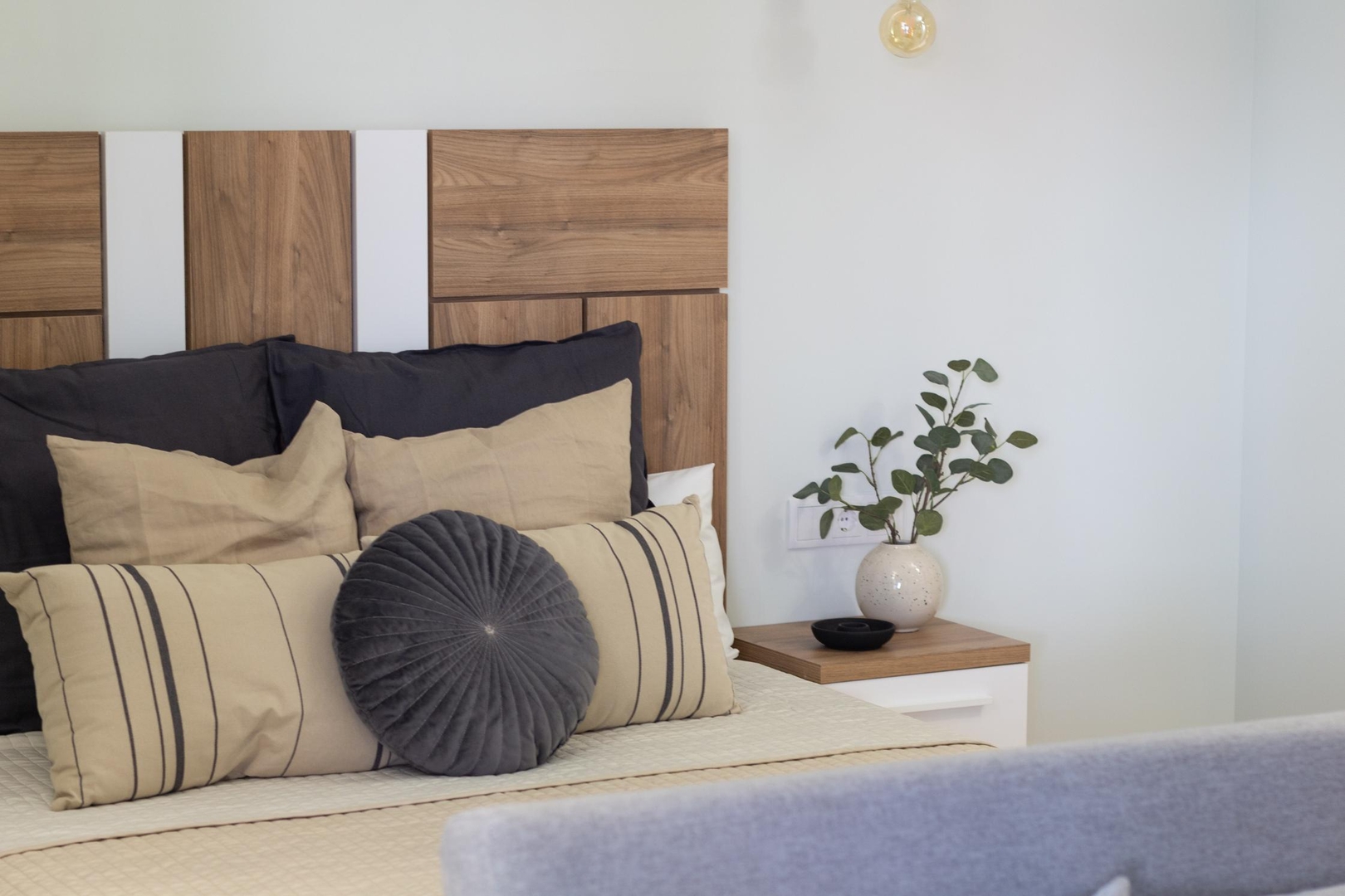 VLC HOST - Reino 1 19 VLC Host