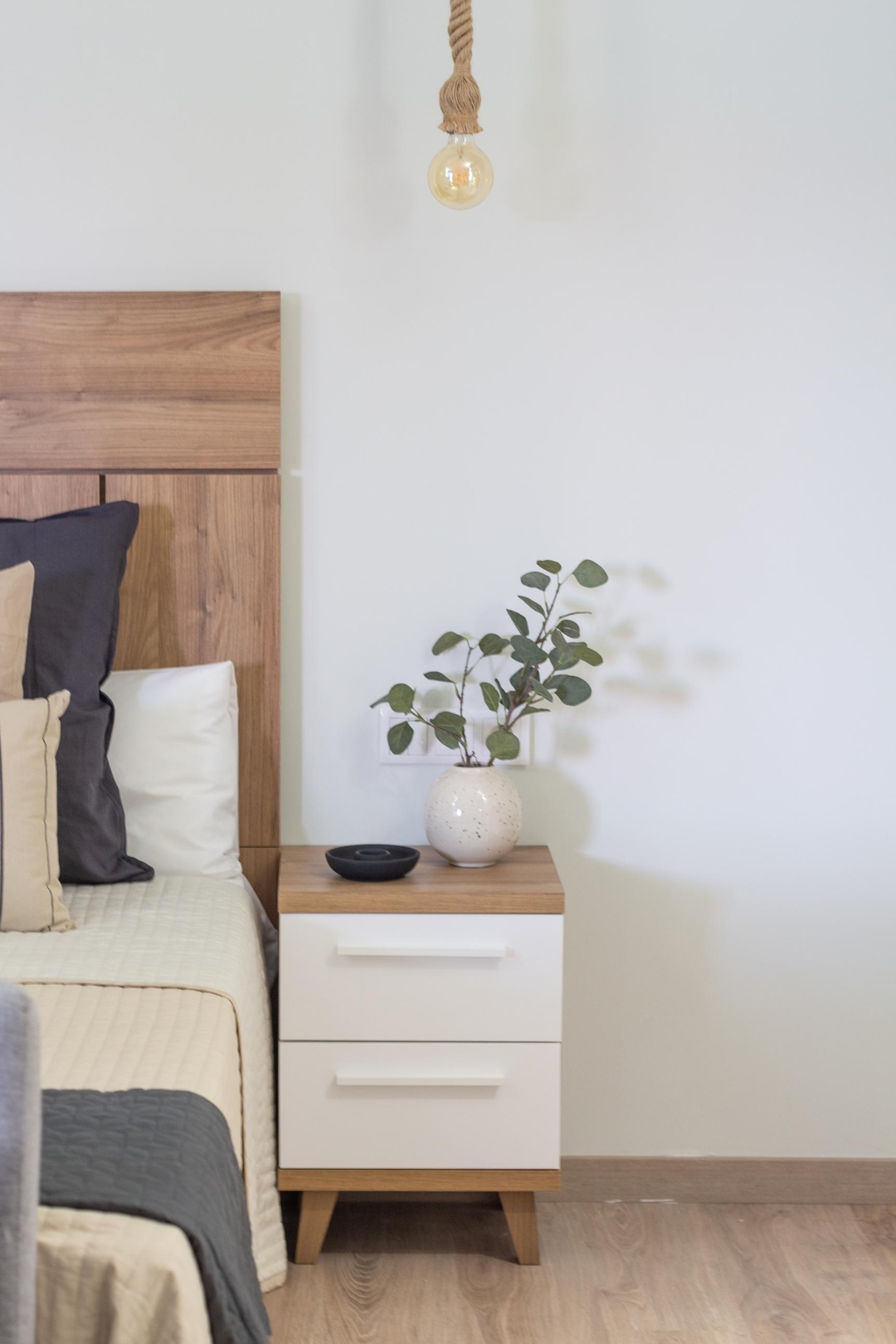 VLC HOST - Reino 1 23 VLC Host