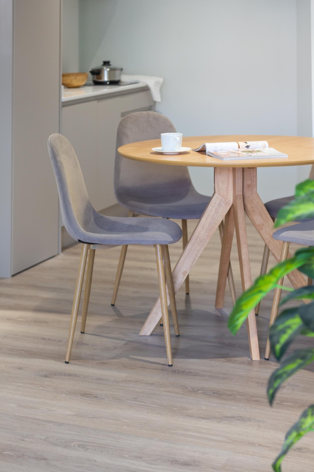 VLC HOST - Reino 1 13 VLC Host