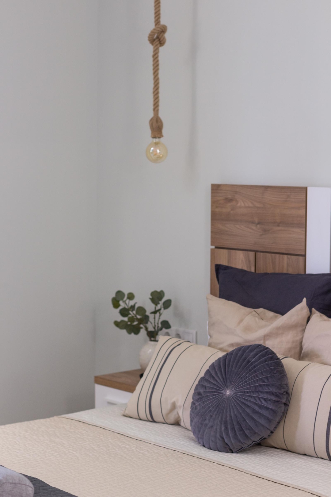 VLC HOST - Reino 1 16 VLC Host