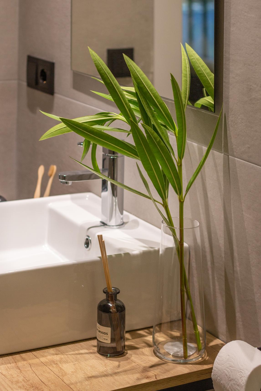 VLC HOST - Reino 1 4 VLC Host