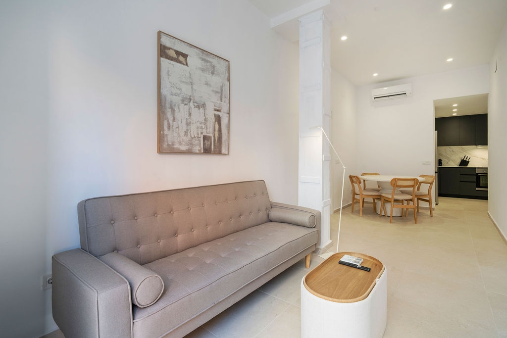 VLC Host - Cubells Bajo A 29 VLC Host