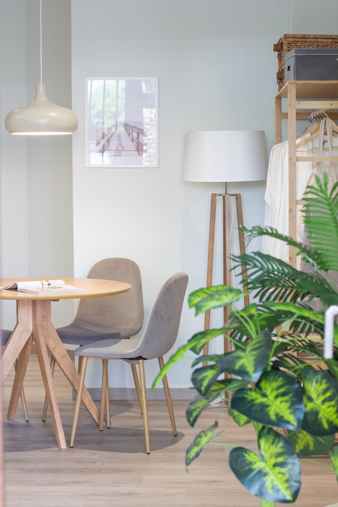 VLC HOST - Reino 1 25 VLC Host