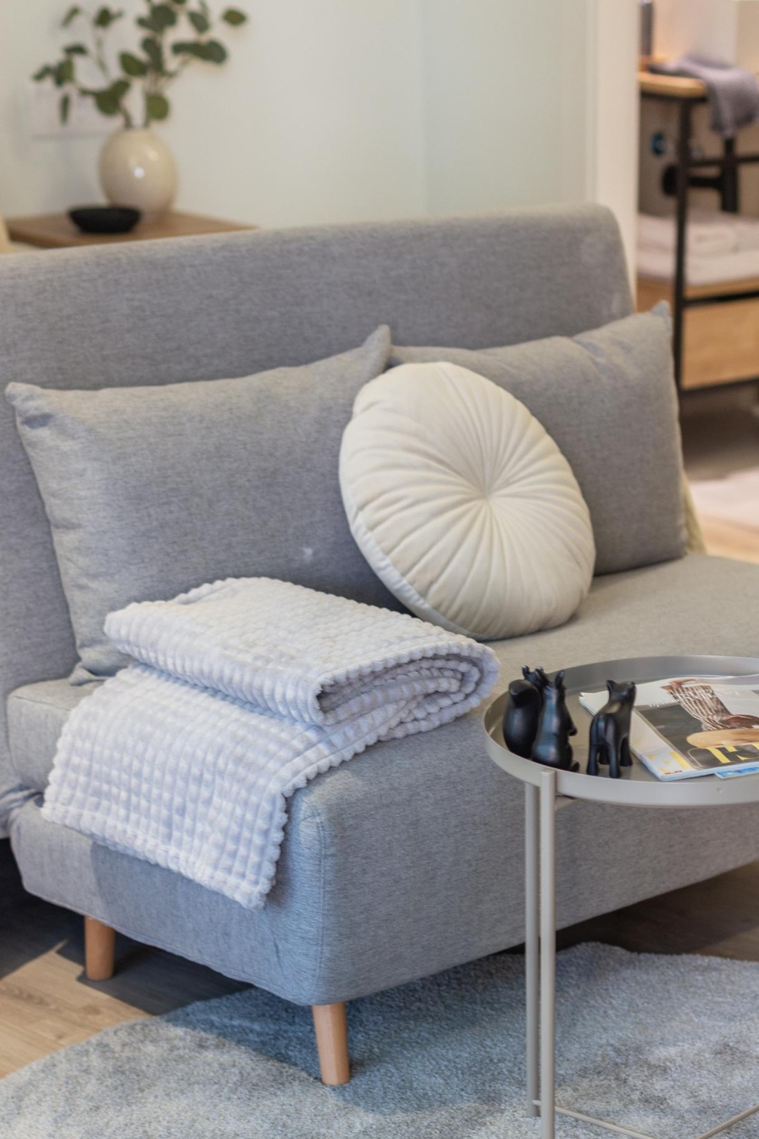 VLC HOST - Reino 1 28 VLC Host