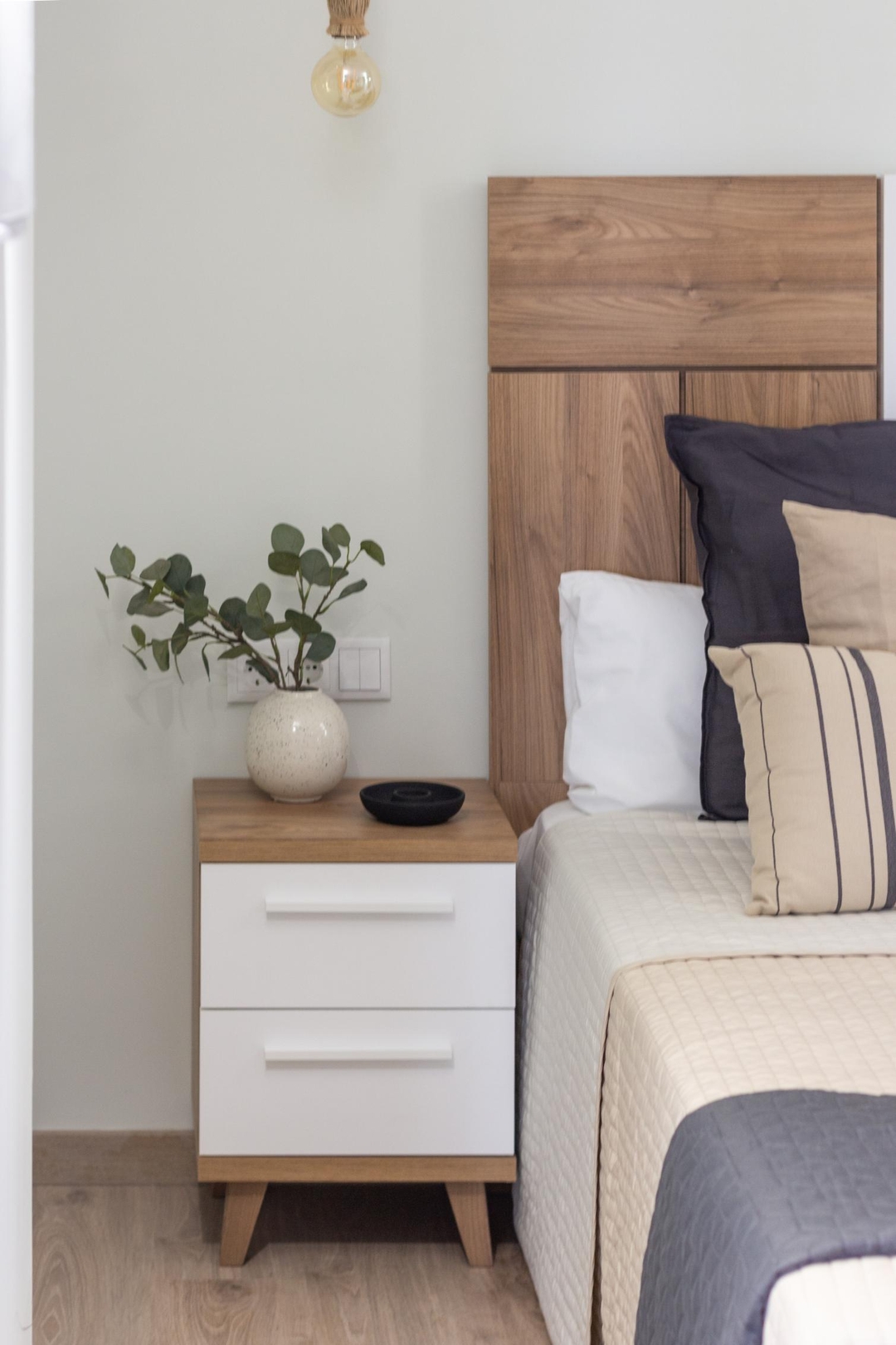 VLC HOST - Reino 1 22 VLC Host