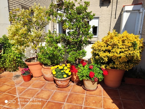 Ático Celestial en Barrio La Latina 105 Batuecas