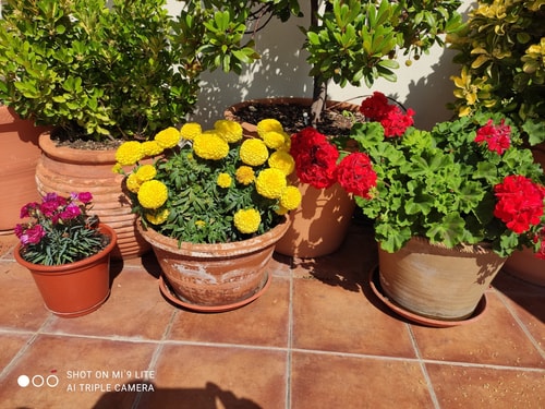 Ático Celestial en Barrio La Latina 104 Batuecas