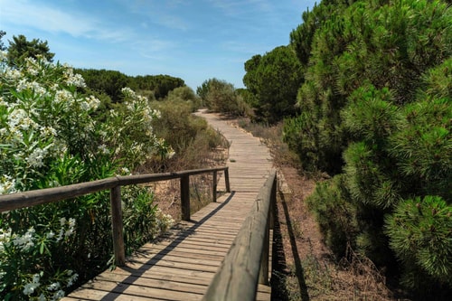 El paraíso en El Rompido: ¡Tu Escape a la Costa! 42 Batuecas