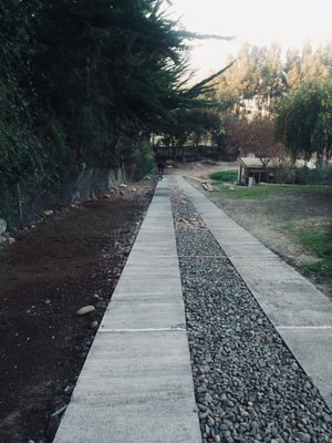 1D/1B Girasol Studio B - La Serena 12 BUHO Property