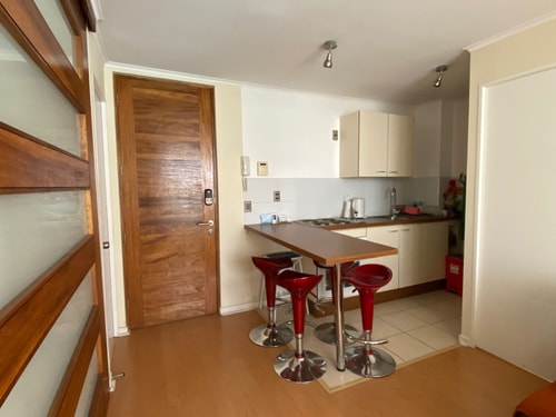 2D/1B Sun City - Viña del Mar 4 BUHO Property