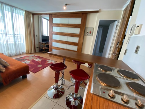 2D/1B Sun City - Viña del Mar 7 BUHO Property