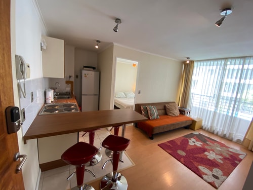 2D/1B Sun City - Viña del Mar 5 BUHO Property