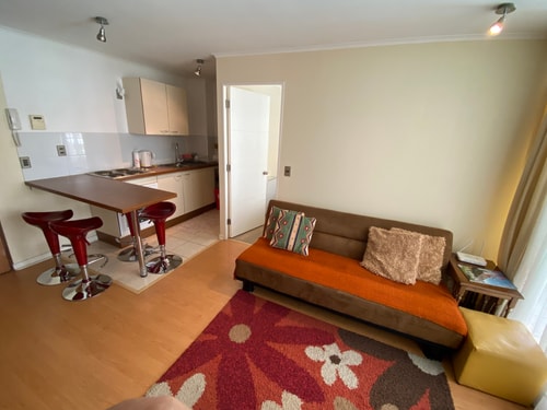 2D/1B Sun City - Viña del Mar 8 BUHO Property