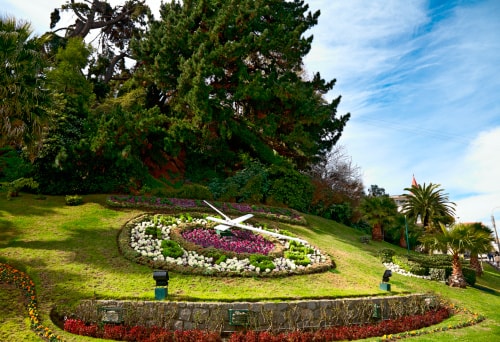 2D/1B Sun City - Viña del Mar 24 BUHO Property