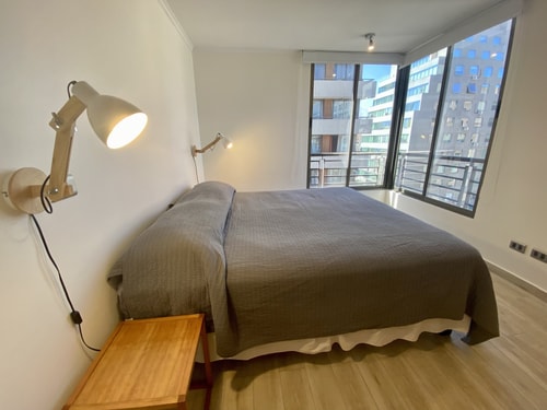 2D/2B Centrally Apartment - Providencia 24 BUHO Property