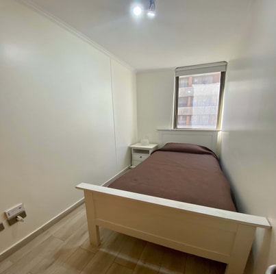 2D/2B Centrally Apartment - Providencia 19 BUHO Property