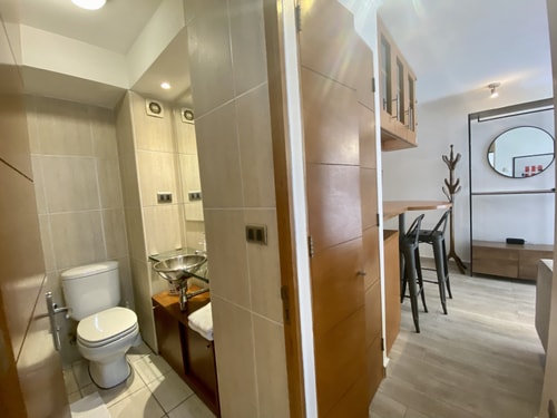 2D/2B Centrally Apartment - Providencia 18 BUHO Property