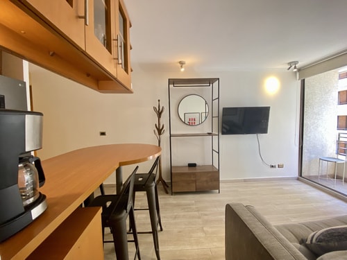 2D/2B Centrally Apartment - Providencia 0 BUHO Property