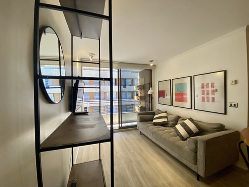 2D/2B Centrally Apartment - Providencia 14 BUHO Property