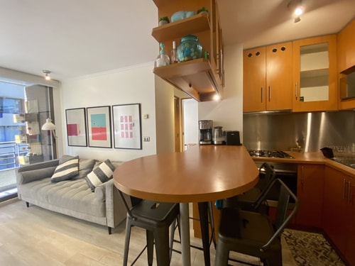 2D/2B Centrally Apartment - Providencia 9 BUHO Property