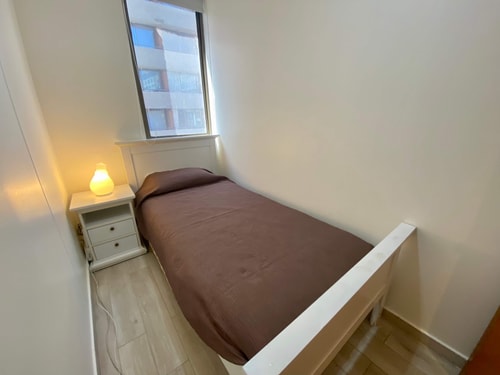 2D/2B Centrally Apartment - Providencia 3 BUHO Property