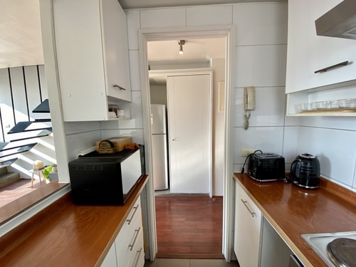 1BR/1BA Panoramic Loft - Santiago 8 Buho Property