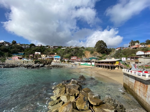 1BR/1BA Studio Cabin - Quintay 19 Buho Property