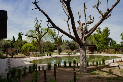 LUN Luna Lodge Chacras de Coria 5