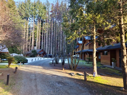 Huemul Cabin - Remanso del Bosque 25