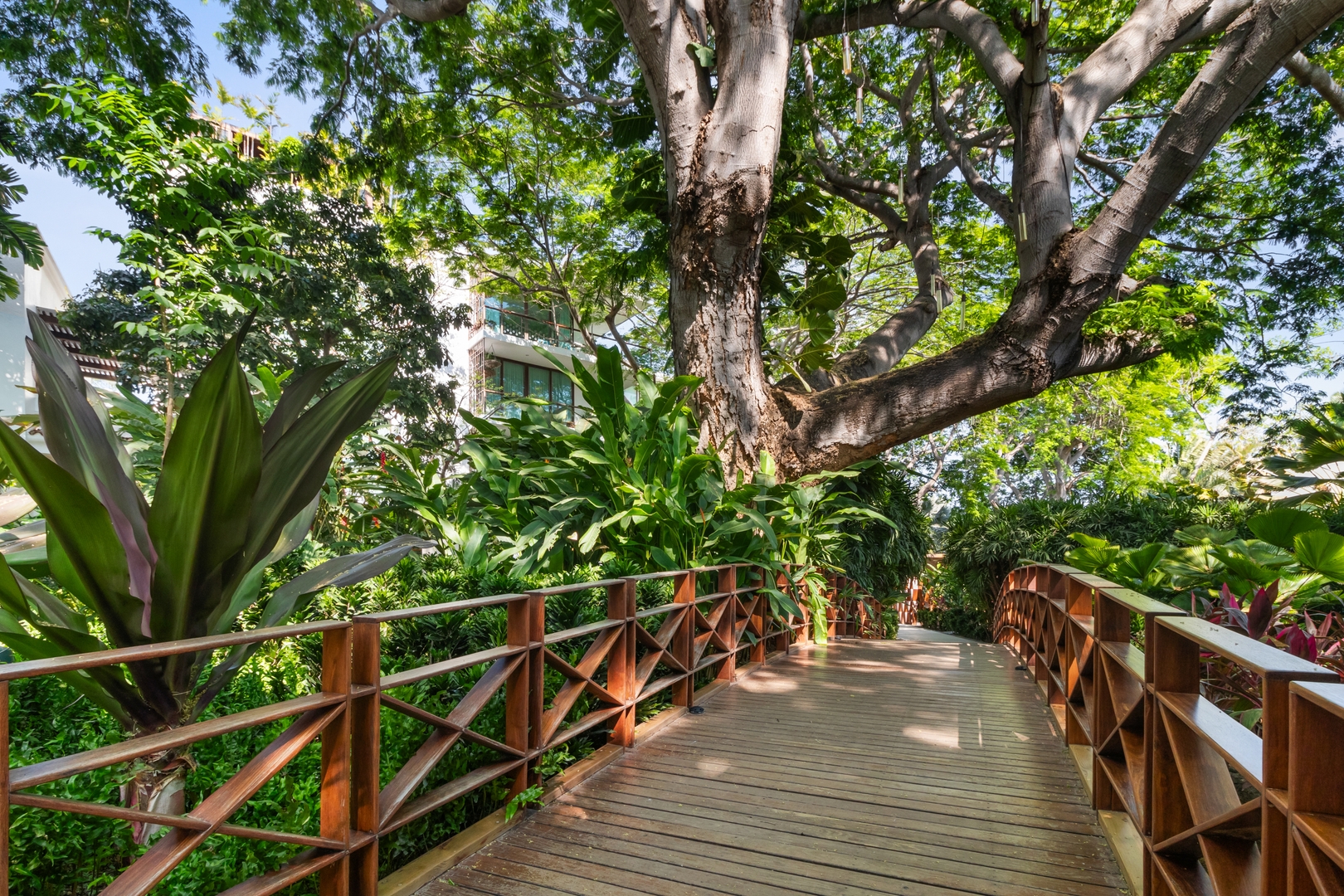 Your Quiet Corner with Pool and Relaxing Spaces 28 VIDA CORAL