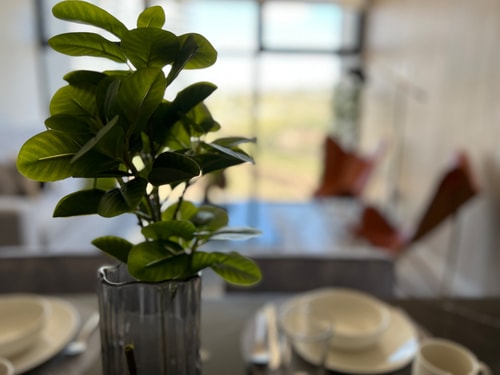 MOTTO 1803A Gym, Pool | Modern - Comfort 9 Destyna
