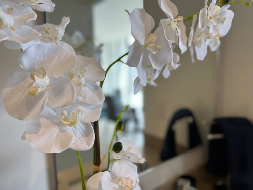 POSTAL 702 Gym, Pool, Spa | Exclusive - Elegant 19 Destyna